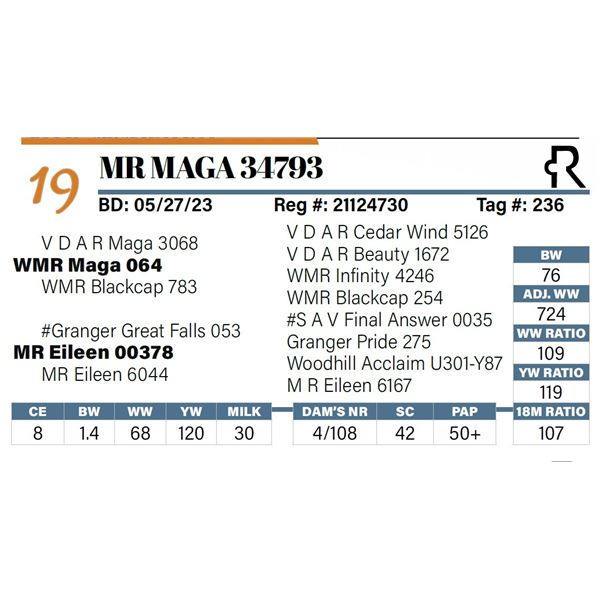 MR Maga 34793