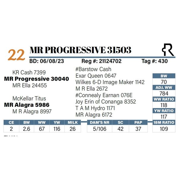 MR Progressive 31503