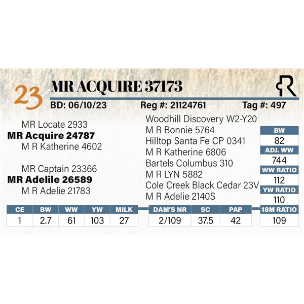 MR Acquire 37173