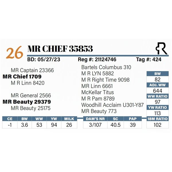 MR Chief 35853