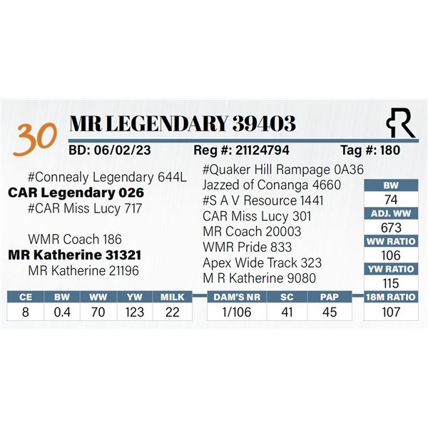 MR Legendary 39403