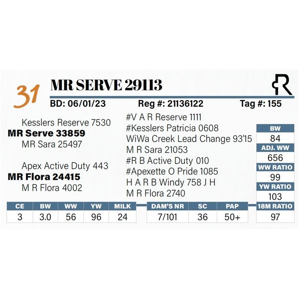 MR Serve 29113