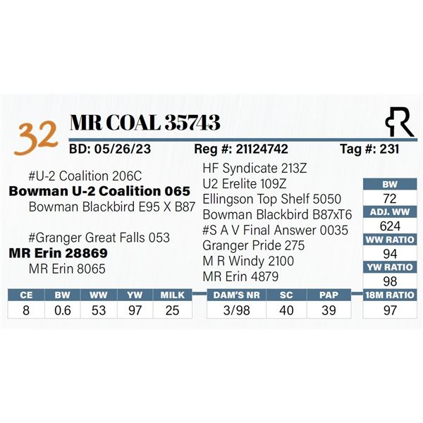 MR Coal 35743