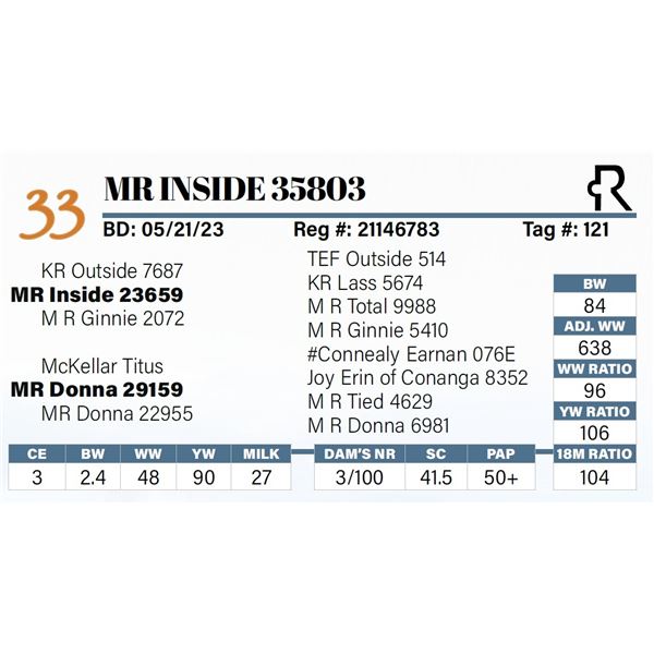 MR Inside 35803