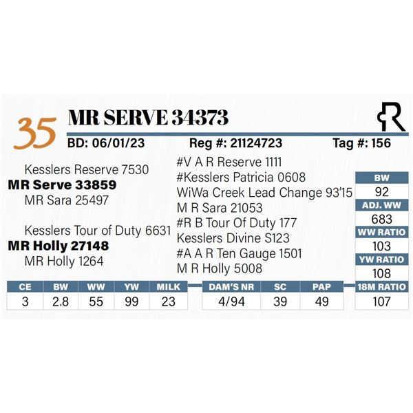 MR Serve 34373
