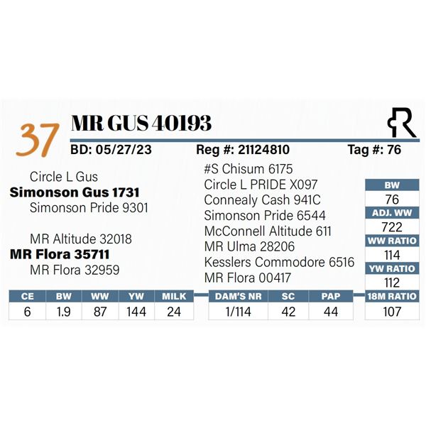 MR Gus 40193