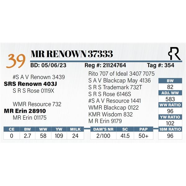 MR Renown 37333