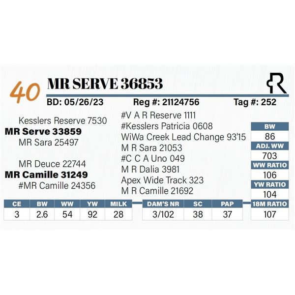 MR Serve 36853