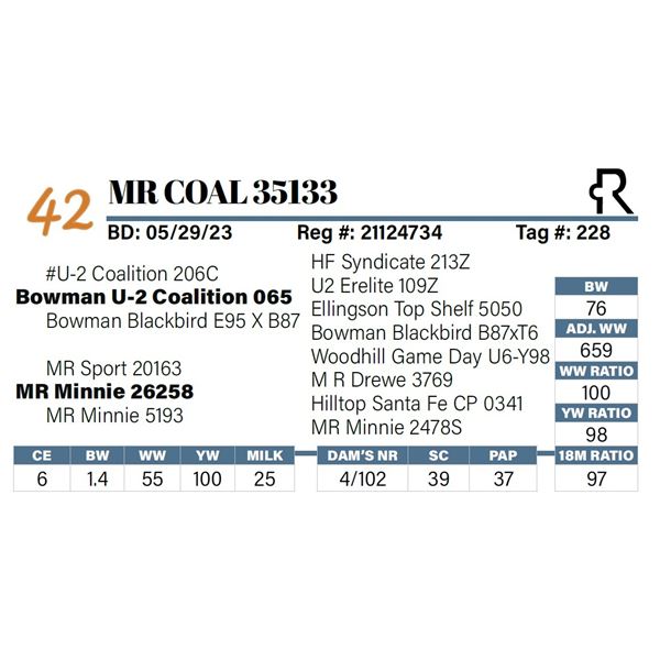 MR Coal 35133