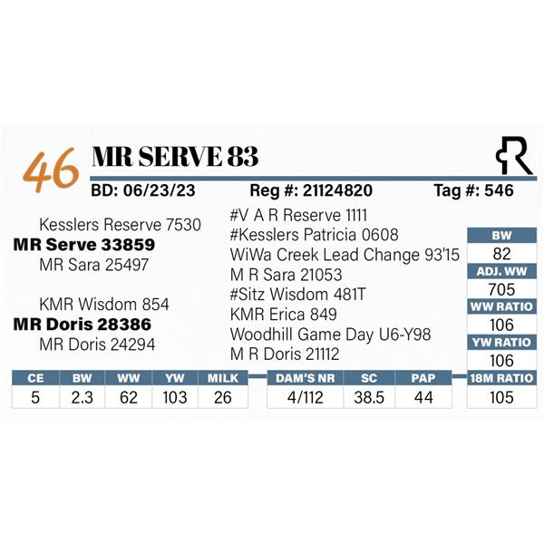 MR Serve 83