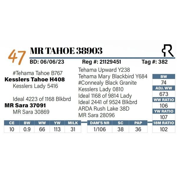 MR Tahoe 38903