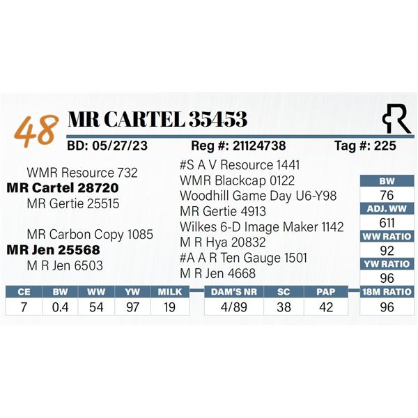 MR Cartel 35453