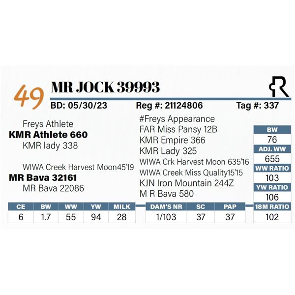 MR Jock 39993