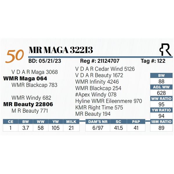 MR Maga 32213