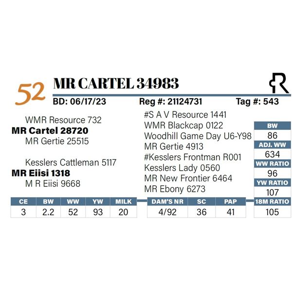 MR Cartel 34983