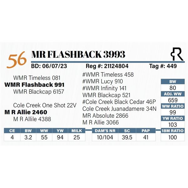 MR Flashback 3993