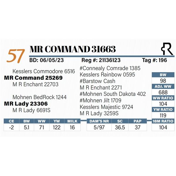 MR Command 31663