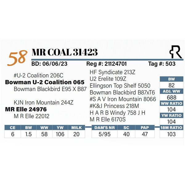 MR Coal 31423