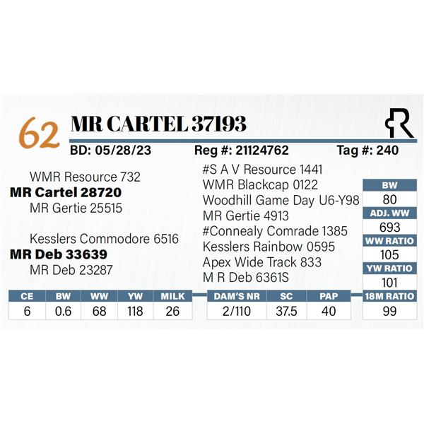 MR Cartel 37193