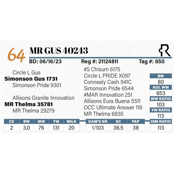 MR Gus 40243