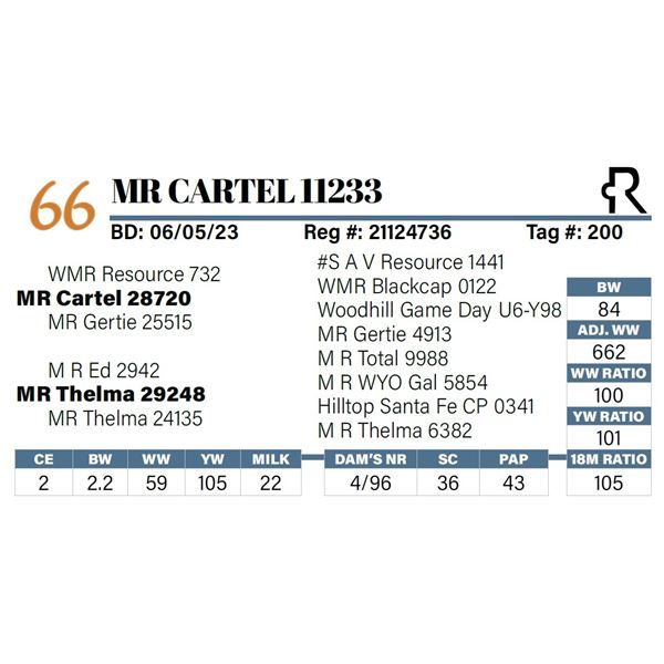 MR Cartel 11233