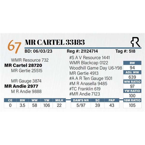 MR Cartel 33183