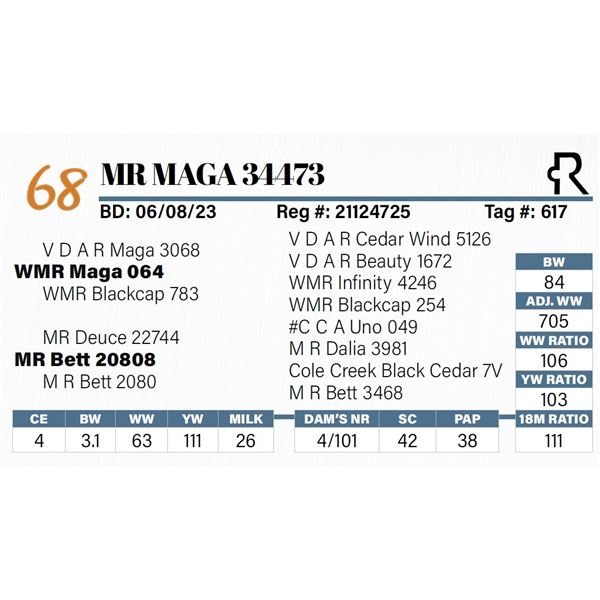 MR Maga 34473