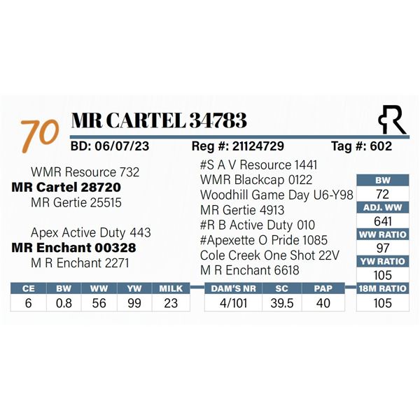 MR Cartel 34783