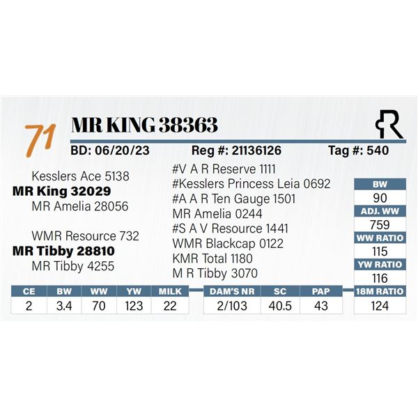 MR King 38363
