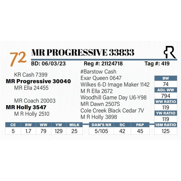 MR Progressive 33833