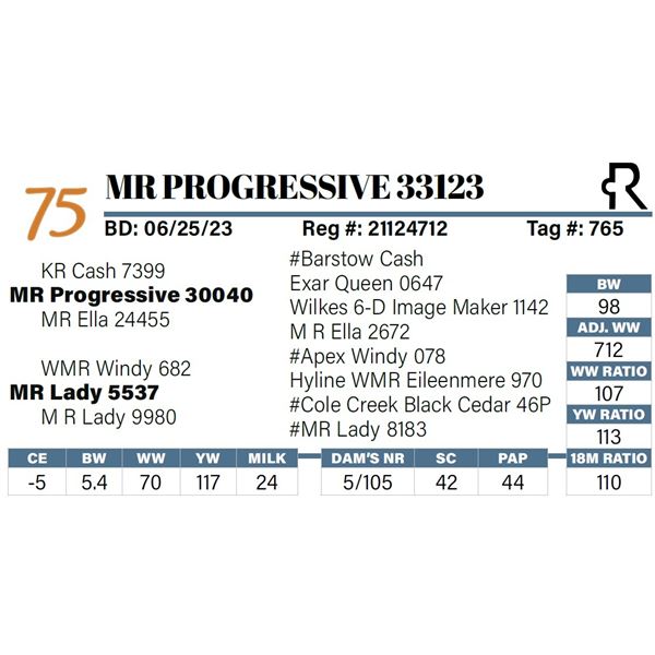 MR Progressive 33123