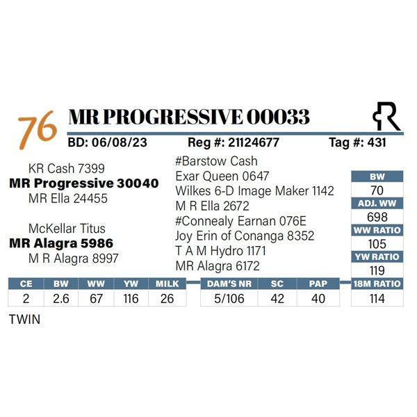 MR Progressive 00033