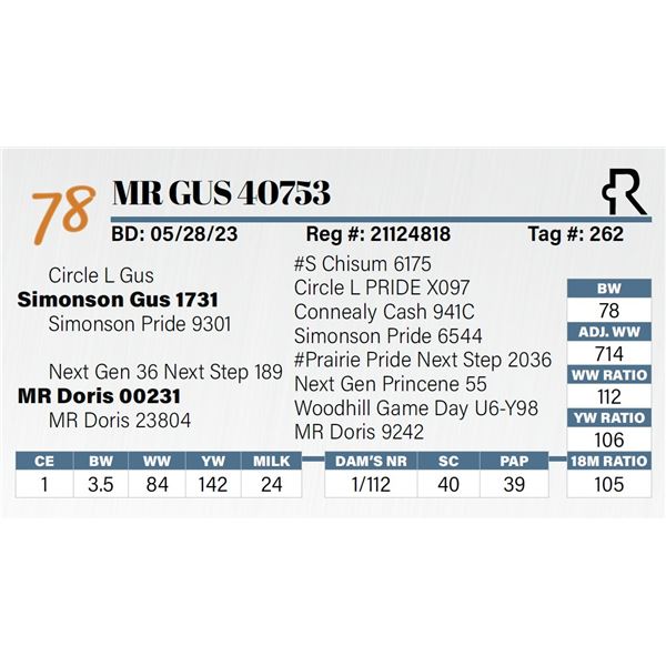MR Gus 40753