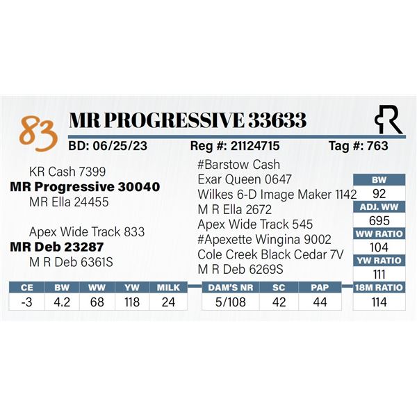 MR Progressive 33633