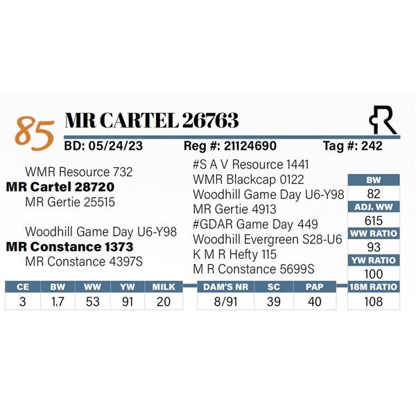 MR Cartel 26763