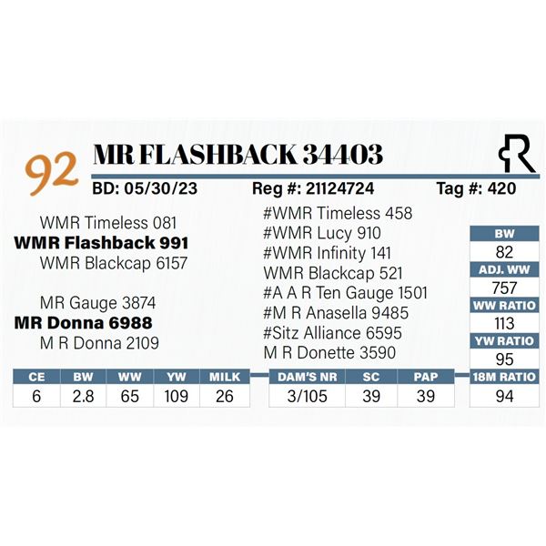 MR Flashback 34403