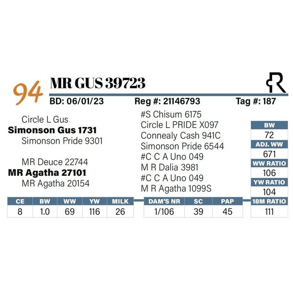 MR Gus 39723