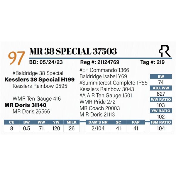 MR 38 Special 37503