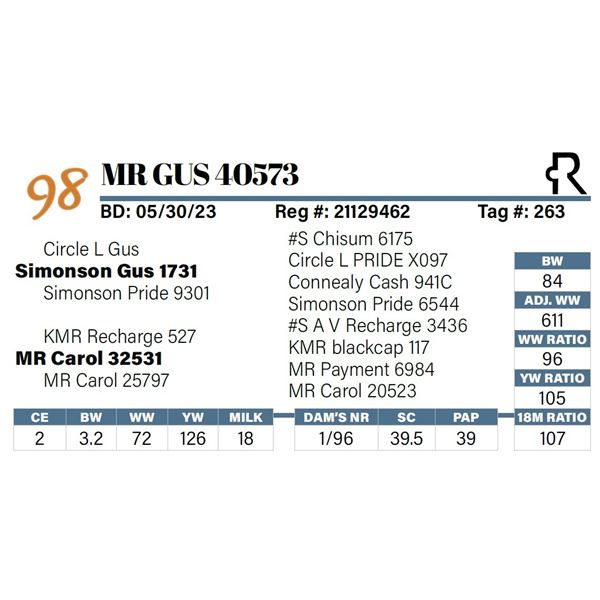 MR Gus 40573