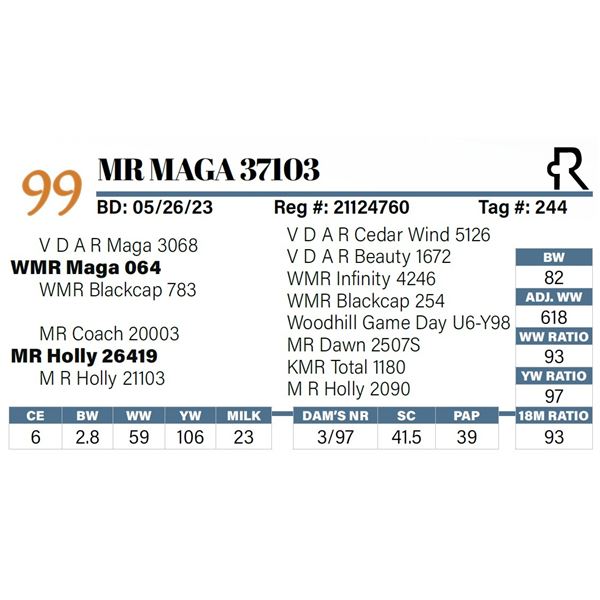 MR Maga 37103