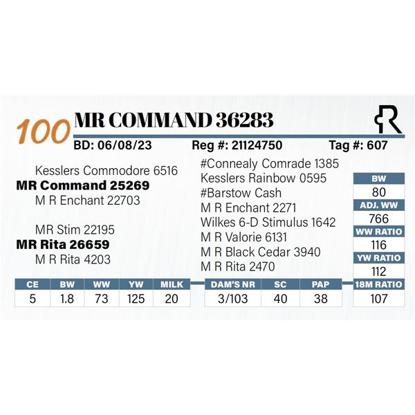 MR Command 36283