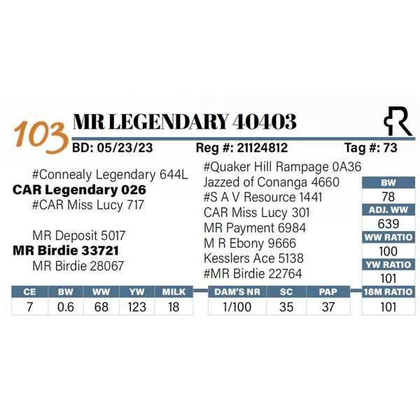 MR Legendary 40403