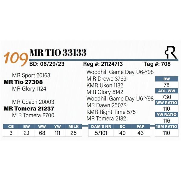 MR Tio 33133