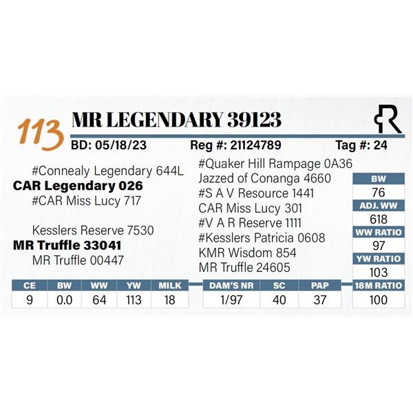 MR Legendary 39123
