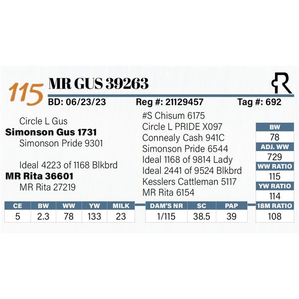 MR Gus 39263