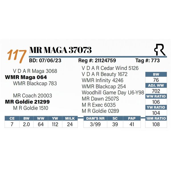 MR Maga 37073