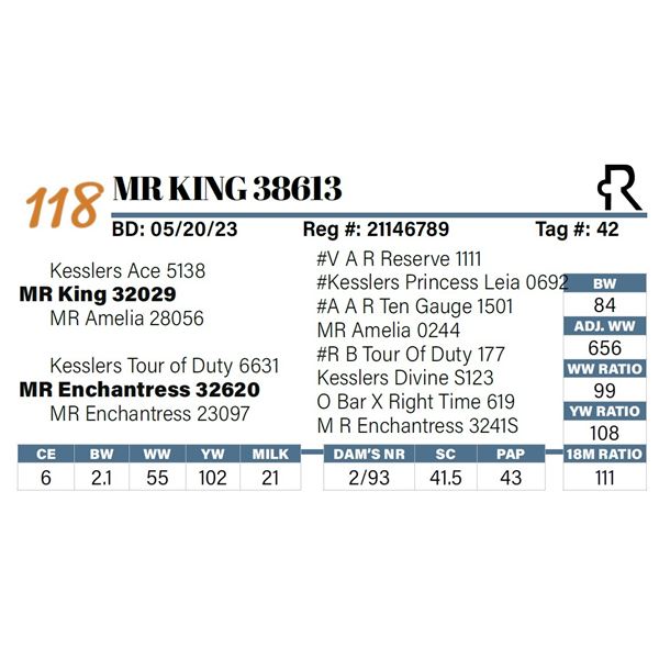 MR King 38613