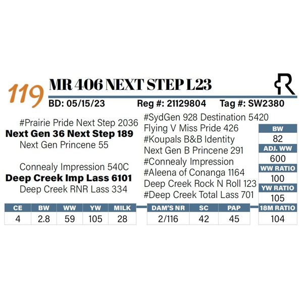 MR 406 Next Step L23