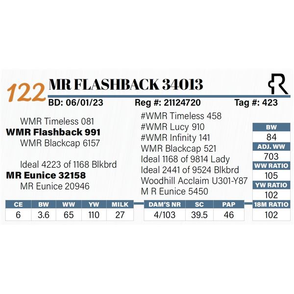 MR Flashback 34013