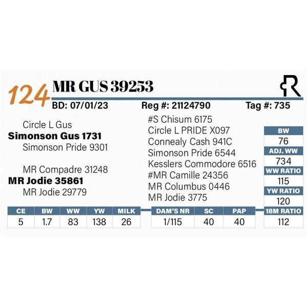 MR Gus 39253